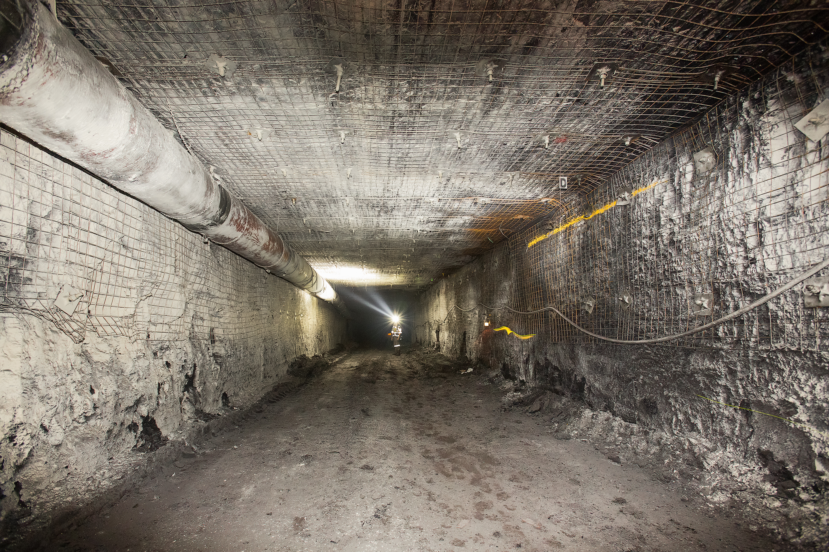 Der neue DSI-PEAK-Felsanker hinterfragt herkömmliche Ankertechniken in Untertage-Kohlebergwerken Der neue DSI-PEAK-Felsanker hinterfragt herkömmliche Ankertechniken in Untertage-Kohlebergwerken